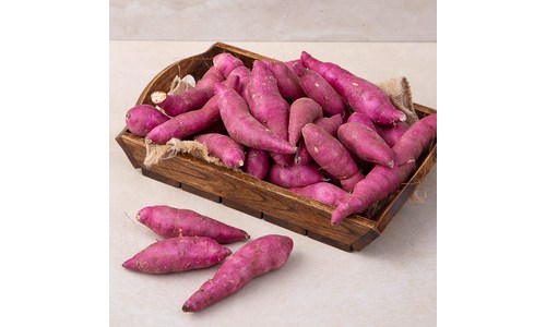 노트북싸게파는곳 품질 비교 고르는법