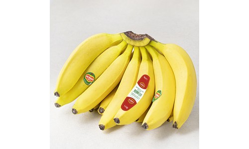 B급상품 품질 평가 고르는법